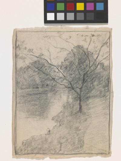 Arbre à côté d