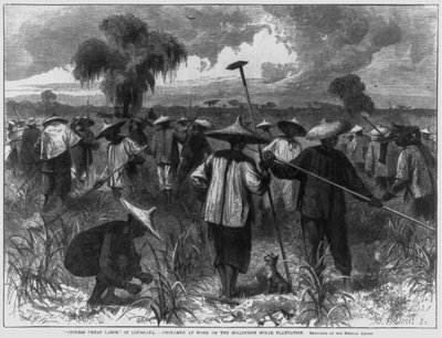 "Travail bon marché chinois" en Louisiane - Chinois travaillant sur la plantation de sucre Milloudon - John Parker Davis