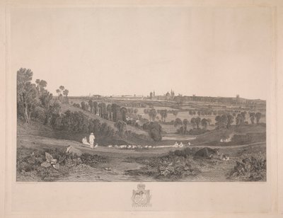 Vue d