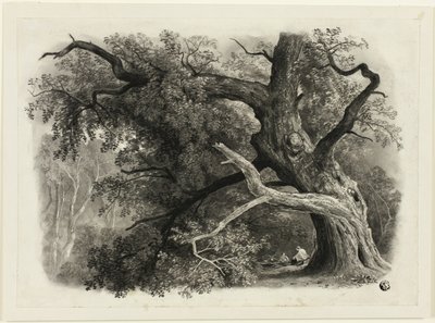 Vieil arbre dans la Billah - Forêt de Sherwood - John Rawson Walker