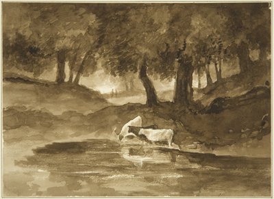 Vue de Nightingale Valley, vers 1825 - John Reverend Eden