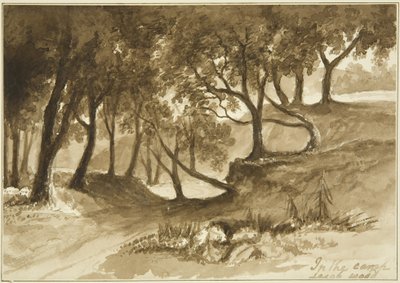Vue dans le camp de Burwalls, Leigh Woods - John Reverend Eden