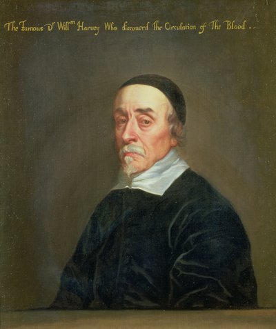 Portrait de William Harvey (1578-1657) - John Riley