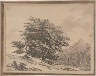Délinéations du caractère général, ramifications et feuillage des arbres forestiers : Cèdre, 1789 - John Robert Cozens