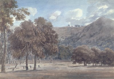 Il Parco da Degle