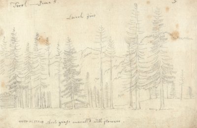 Dans le Tyrol - John Robert Cozens