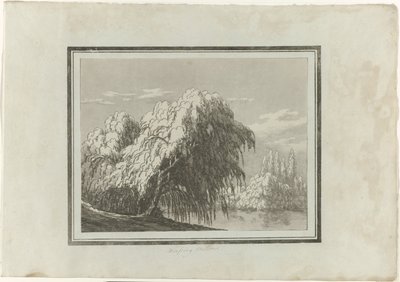 Saule pleureur - John Robert Cozens