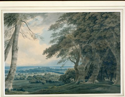 Château de Windsor depuis le sud-ouest, c.1787-99 - John Robert Cozens