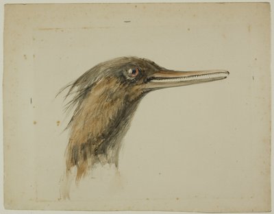 Harle bièvre - John Ruskin