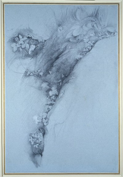 Mousse et fraise des bois - John Ruskin
