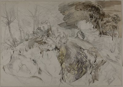 Arbustes et arbres dans un paysage rocheux - John Ruskin