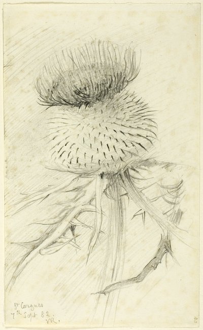 Saint-Cergues - John Ruskin