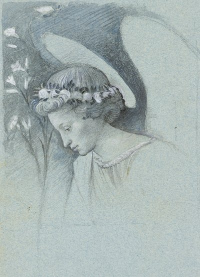 Étude de la tête de l
