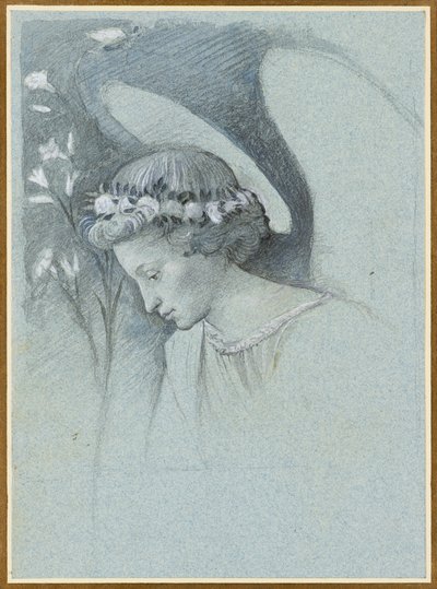 Étude de la tête de l