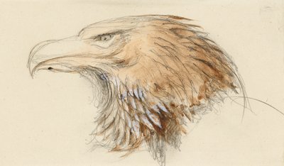 La tête d