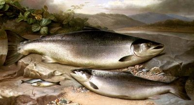 Nature morte de poissons - John Russell