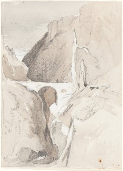 Gorge avec souches d