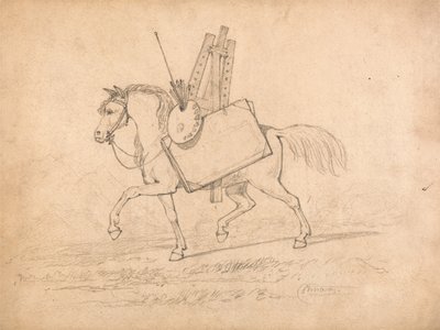 Cheval chargé d