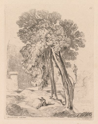 Liber Studiorum : Planche 18, Arbres à Norwich Thorp, Norfolk - John Sell Cotman