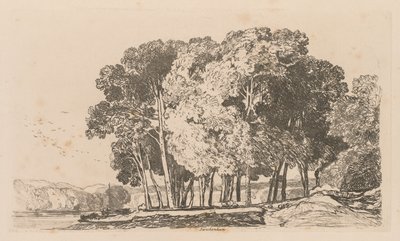 Liber Studiorum : Planche 3, Arbres près de Twickenham - John Sell Cotman