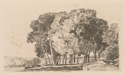 Liber Studiorum : Planche 3, Arbres près de Twickenham - John Sell Cotman