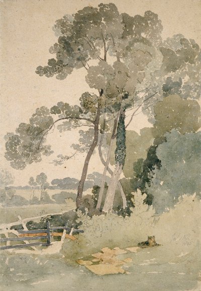 Près de Brandsby, Yorkshire - John Sell Cotman