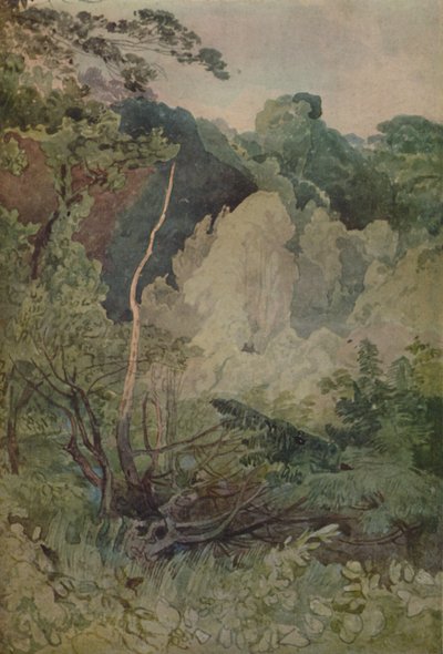 Arbres près de la rivière Greta, 1923 - John Sell Cotman