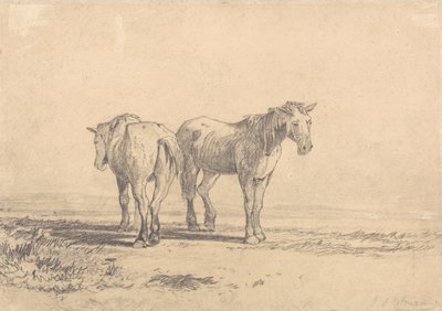 Deux vieux chevaux dans un champ - John Sell Cotman