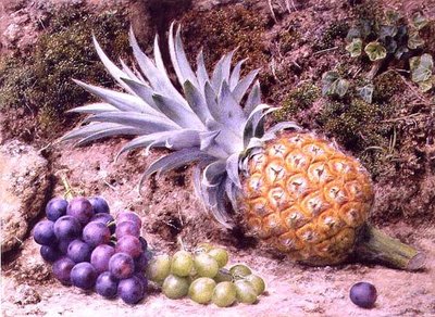Un ananas et des grappes de raisins sur une berge moussue - John Sherrin