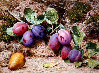 Nature morte avec prunes et poire sur une berge moussue, c.1855 - John Sherrin