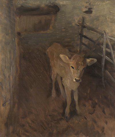 Un veau de Jersey, 1893 - John Singer Sargent