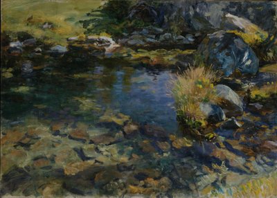 Bassin alpin, 1907 - John Singer Sargent
