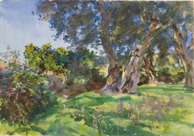 Oliviers, Corfou - John Singer Sargent