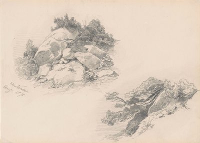 Rochers et Broussailles, Hintersee, Allemagne, 1871 - John Singer Sargent