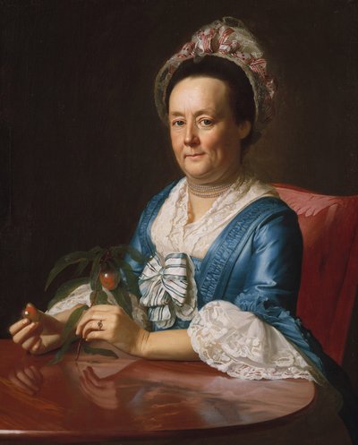 Mme John Winthrop - John Singleton Copley