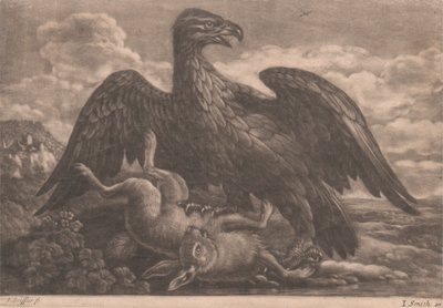 Aigle et lièvre - John Smith