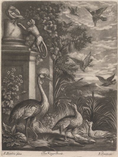Les Oiseaux du Roi - John Smith