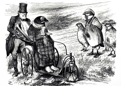 Dessin humoristique commentant la suspension de la chasse au tétras pour permettre à la population de se reconstituer. Illustré par John Tenniel (1820-1914), un illustrateur anglais, humoriste graphique et caricaturiste politique - John Tenniel