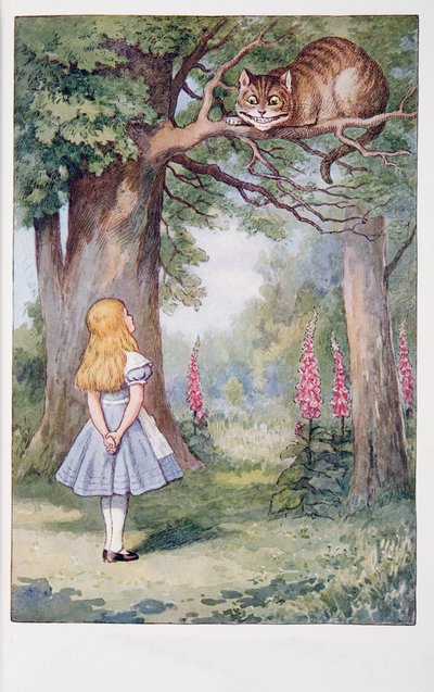Alice et le Chat du Cheshire, Les Aventures d