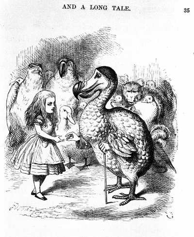 Alice au pays des merveilles : rencontre d