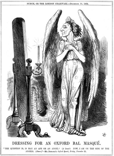 Benjamin Disraeli, conservateur britannique, caricature de Punch, 1864 - John Tenniel
