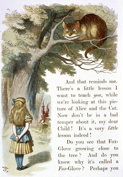 Le Chat du Cheshire - John Tenniel