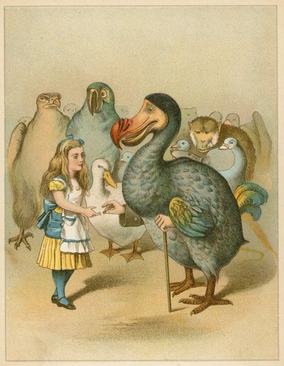 Le Dodo présente solennellement le dé à coudre des Aventures d