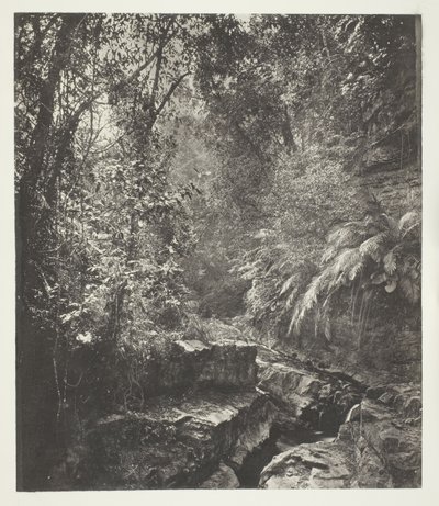 Un col de montagne à Formose - John Thomson