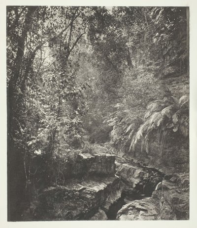 Un col de montagne à Formose - John Thomson