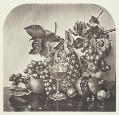 Fruits - John Thomson
