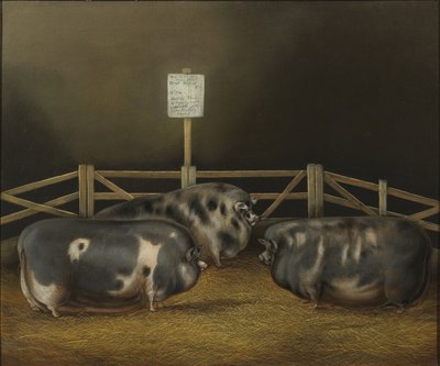 Premier prix au Smithfield Club Show £10 n° 299 appartenant à M. George Beale de Frowlesworth, Lutterworth, médaille d