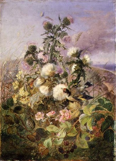 Un Chardonneret et un Papillon parmi les Chardons et les Fleurs de Mûrier - John Wainwright
