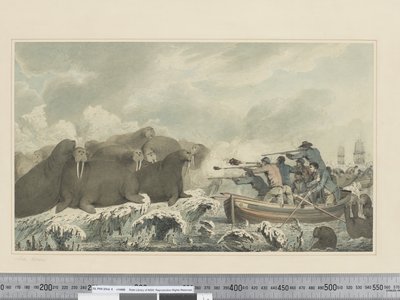 F.32 Chevaux de mer, vers 1773-84 - John Webber