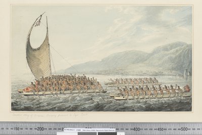 F.35 Tereoboo, roi d